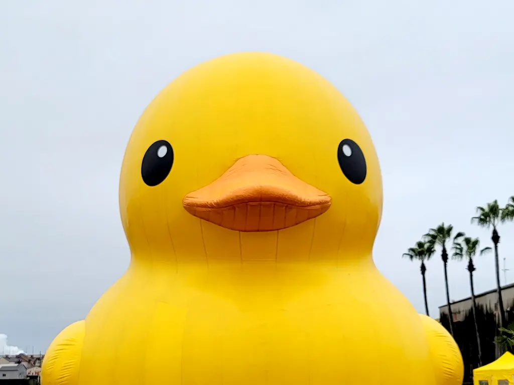 すみのえアート・ビート 2025