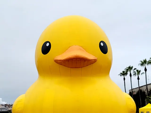 すみのえアート・ビート 2025