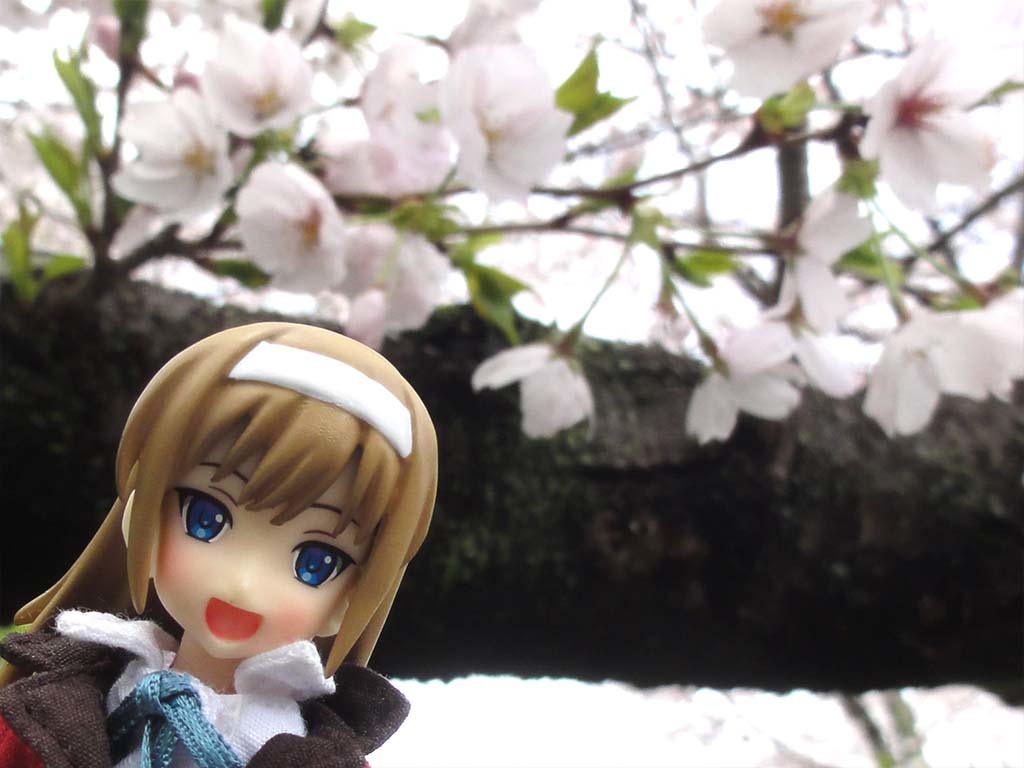 カスタムB子と桜。（ドールとお花見2017）